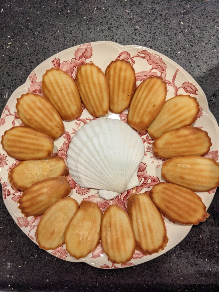 A fresh-baked plate of madeleines, with scallop shell--from the Paris chapters of Against the Glass! Yum!